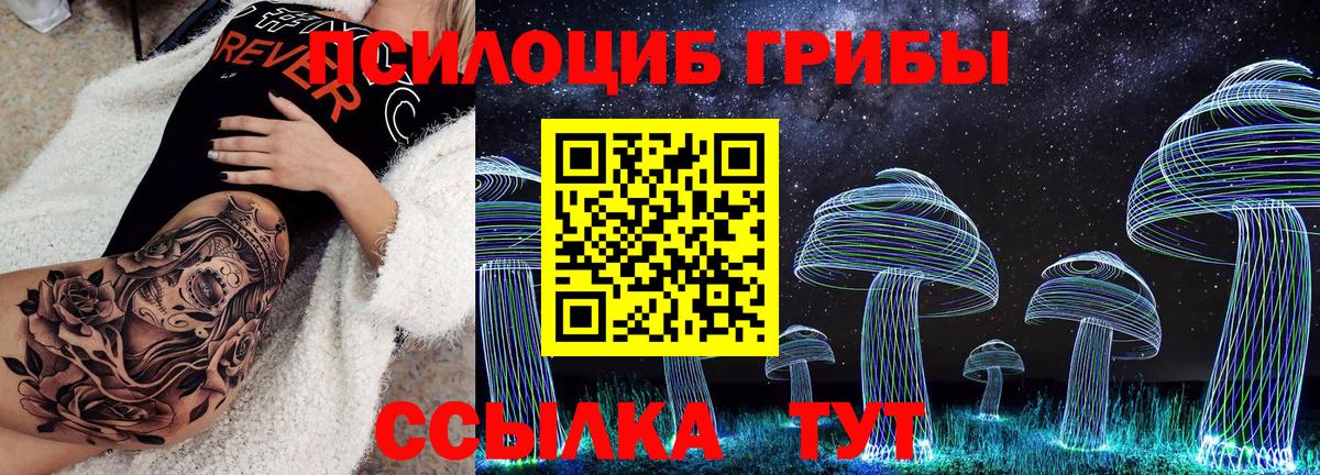 Псилоцибиновые грибы мухоморы Тельмана